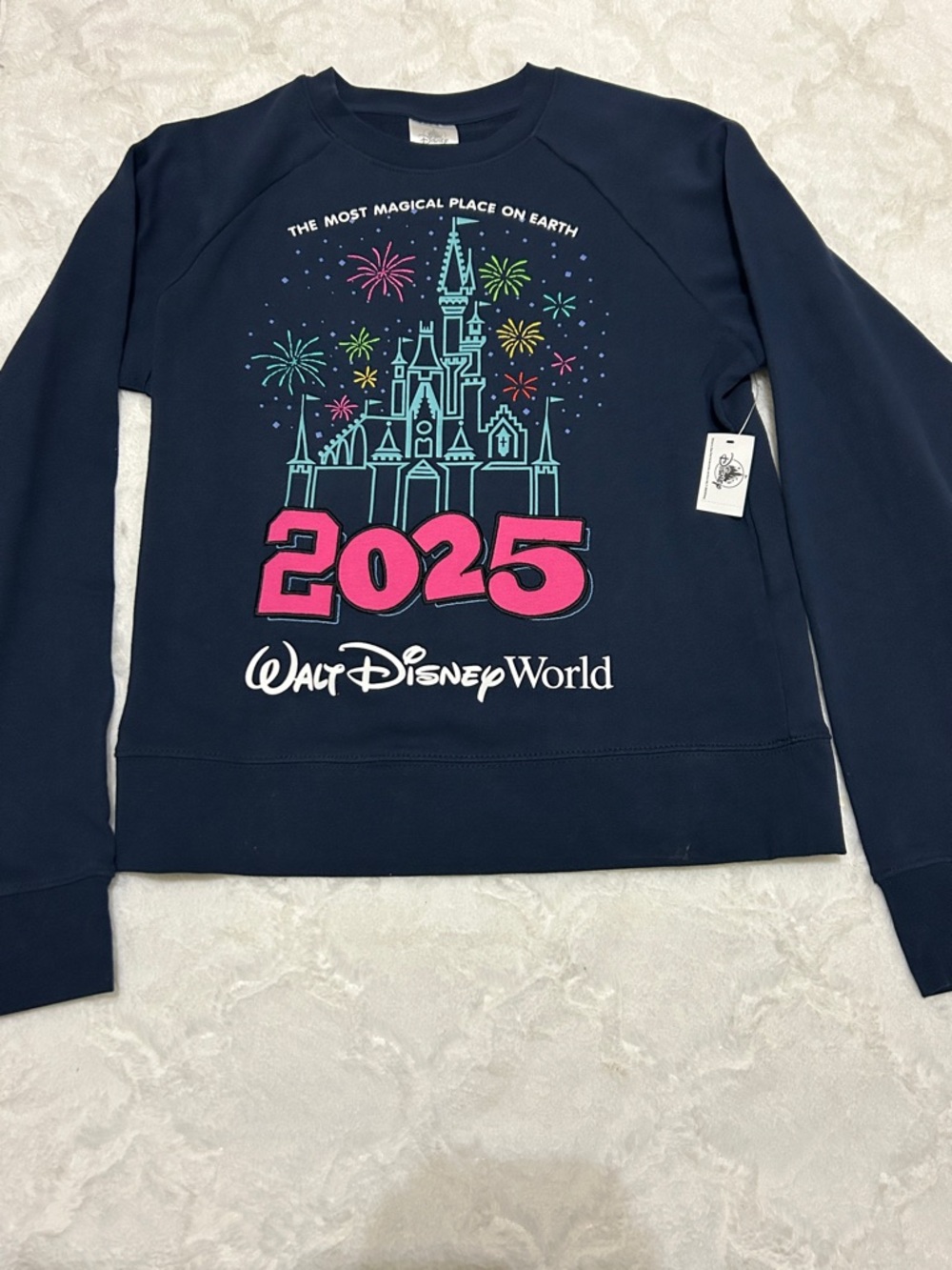 Disney Navy Blue 2025 Walt Disney World Sweatshirt with Pink & Teal Graphics